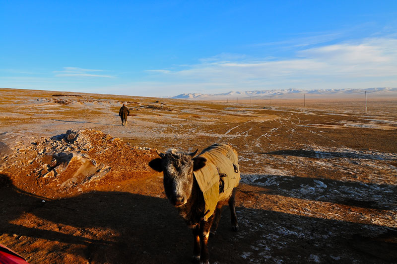 Mongolia
